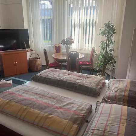 Lejlighed Apartman Vila Thun Karlovy Vary